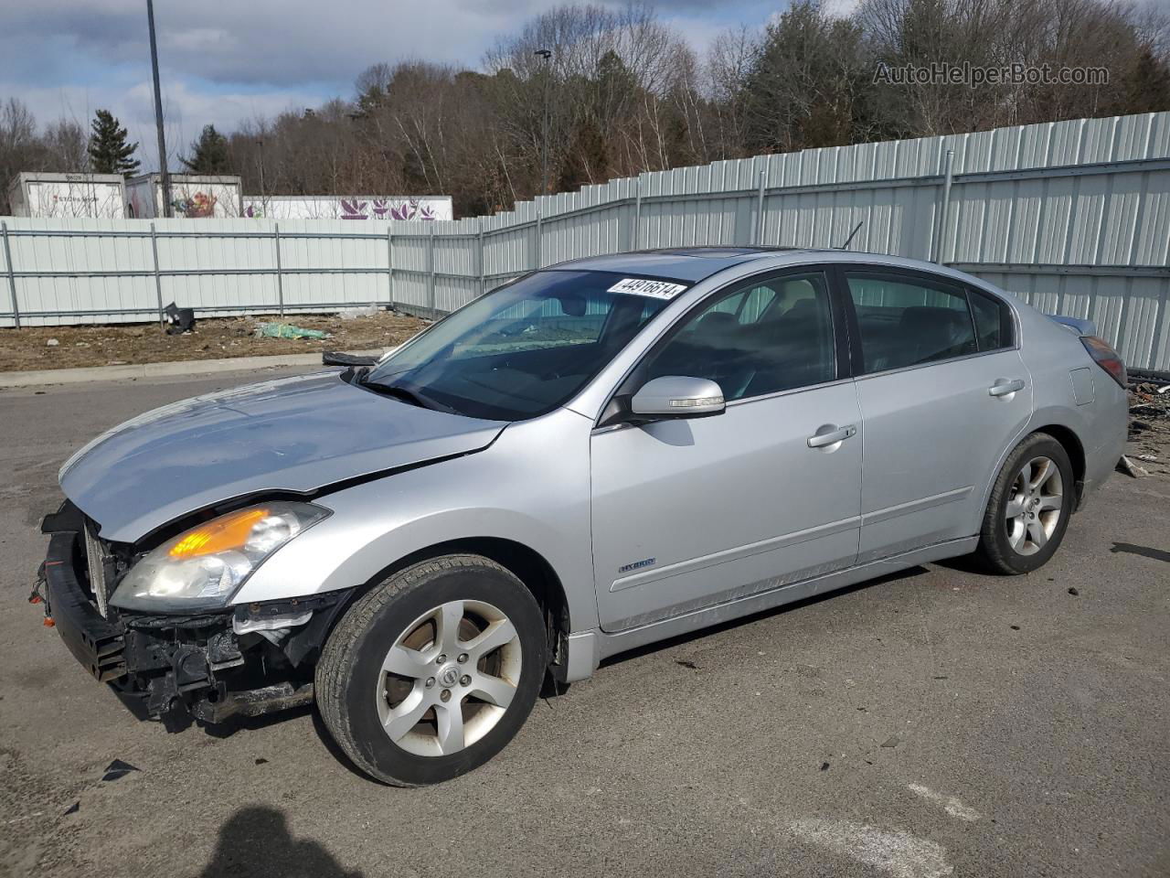 2009 Nissan Altima Hybrid Silver vin: 1N4CL21E39C122766