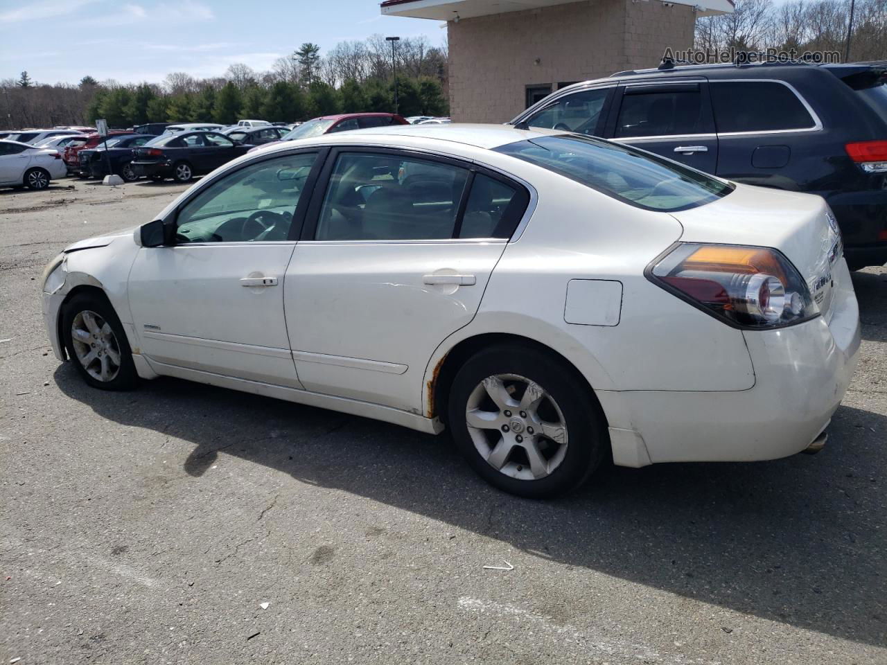 2008 Nissan Altima Hybrid White vin: 1N4CL21E48C249086