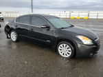 2008 Nissan Altima Hybrid Gray vin: 1N4CL21E58C186869