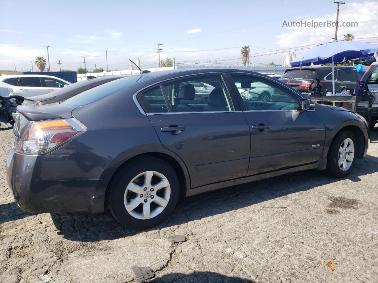 2008 Nissan Altima Hybrid Gray vin: 1N4CL21E68C183494