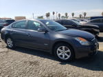 2008 Nissan Altima Hybrid Серый vin: 1N4CL21E68C183494