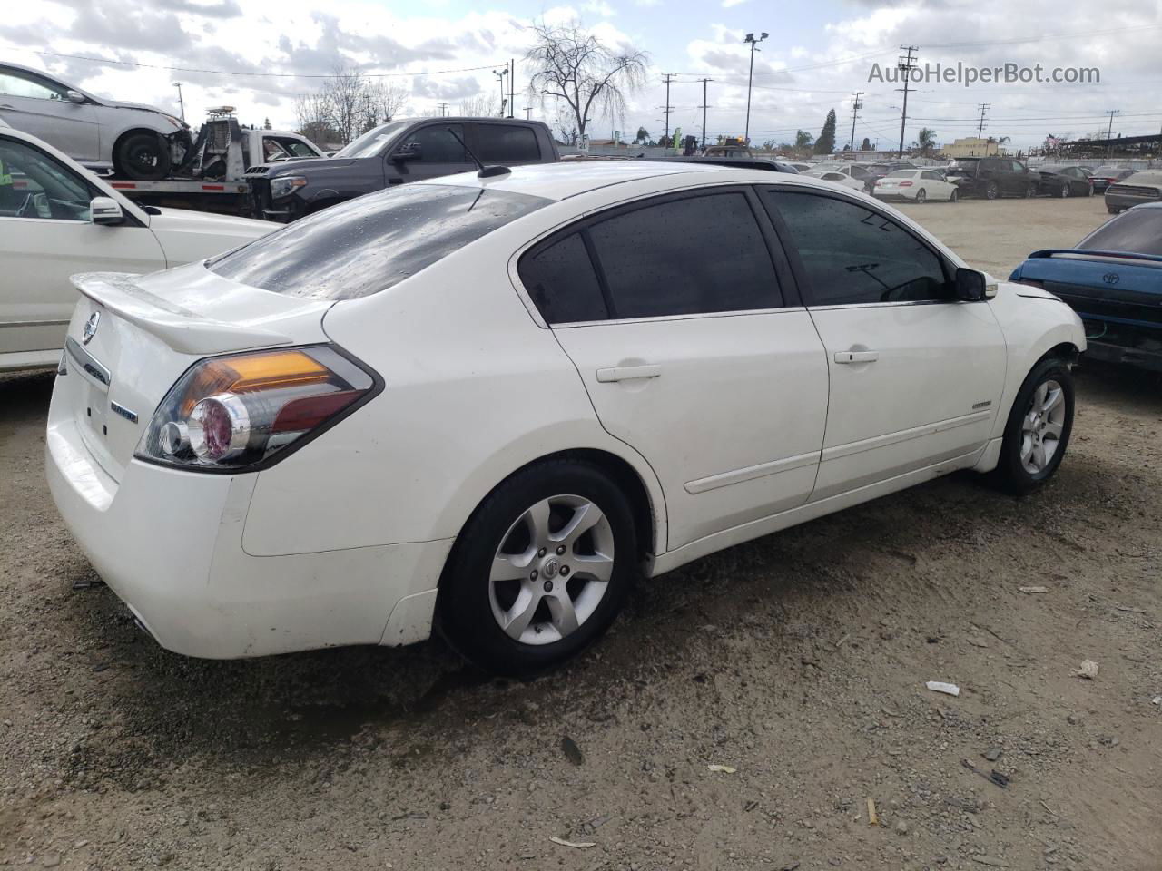 2009 Nissan Altima Hybrid White vin: 1N4CL21E89C126635