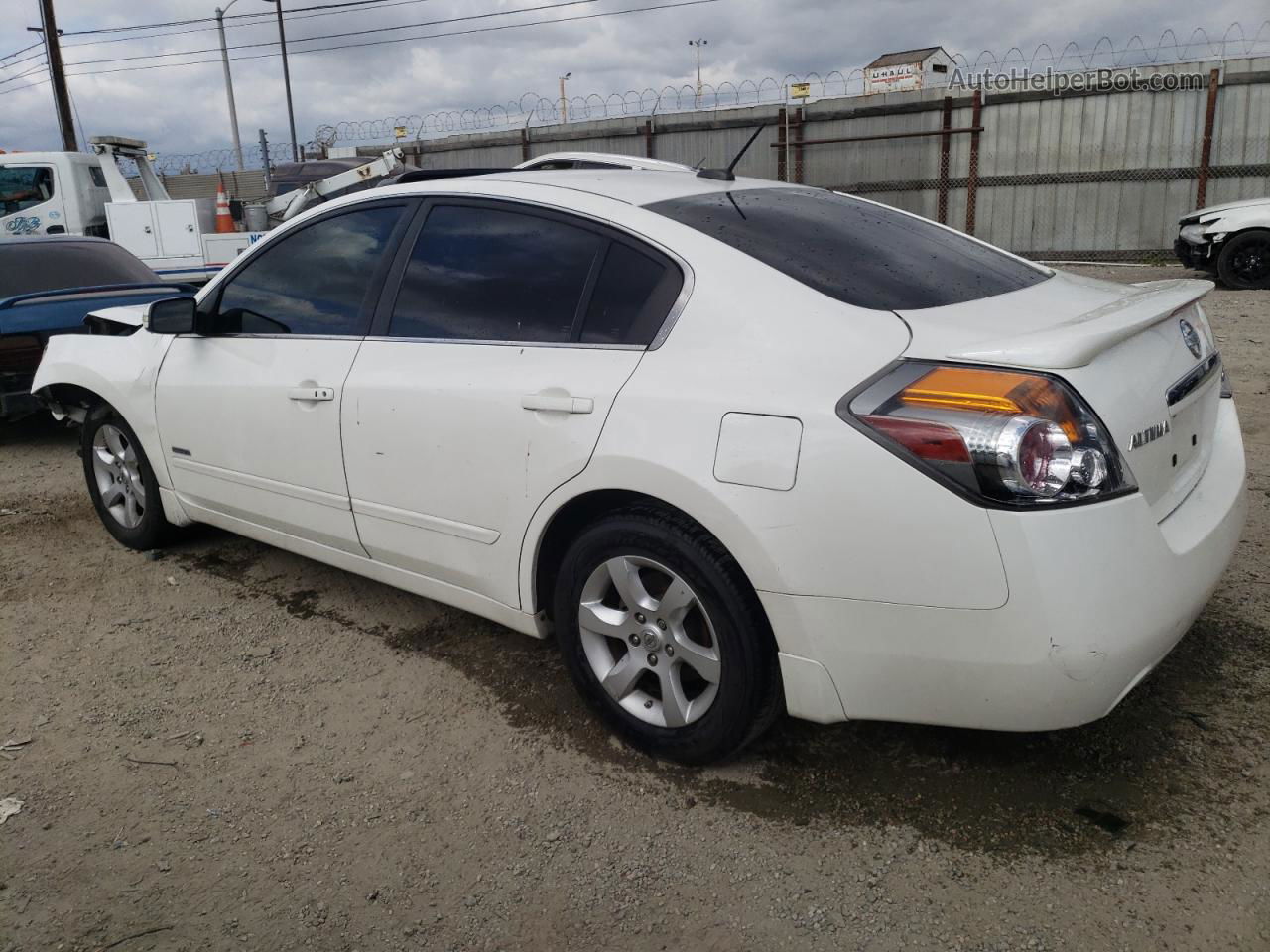 2009 Nissan Altima Hybrid White vin: 1N4CL21E89C126635