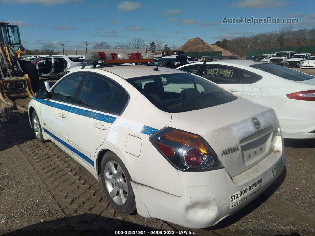 2009 Nissan Altima Hybrid Белый vin: 1N4CL21E89C173051