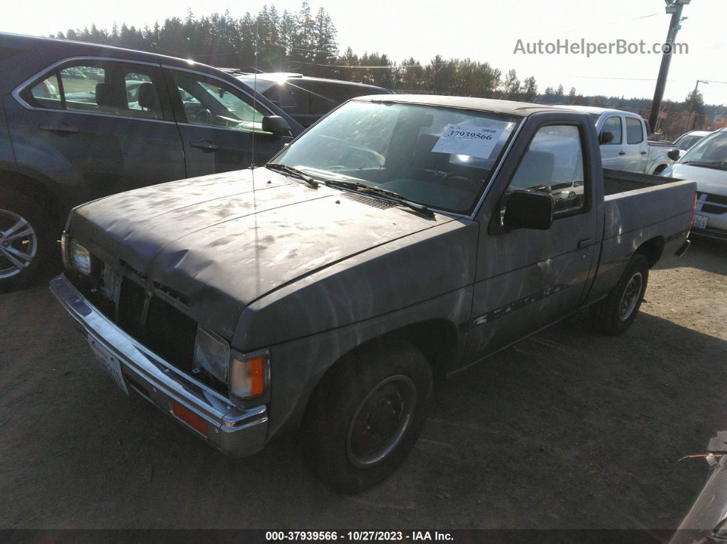 1991 Nissan Truck Short Wheelbase Gray vin: 1N6SD11S4MC342684