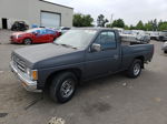 1991 Nissan Truck Short Wheelbase Gray vin: 1N6SD11S5MC342550