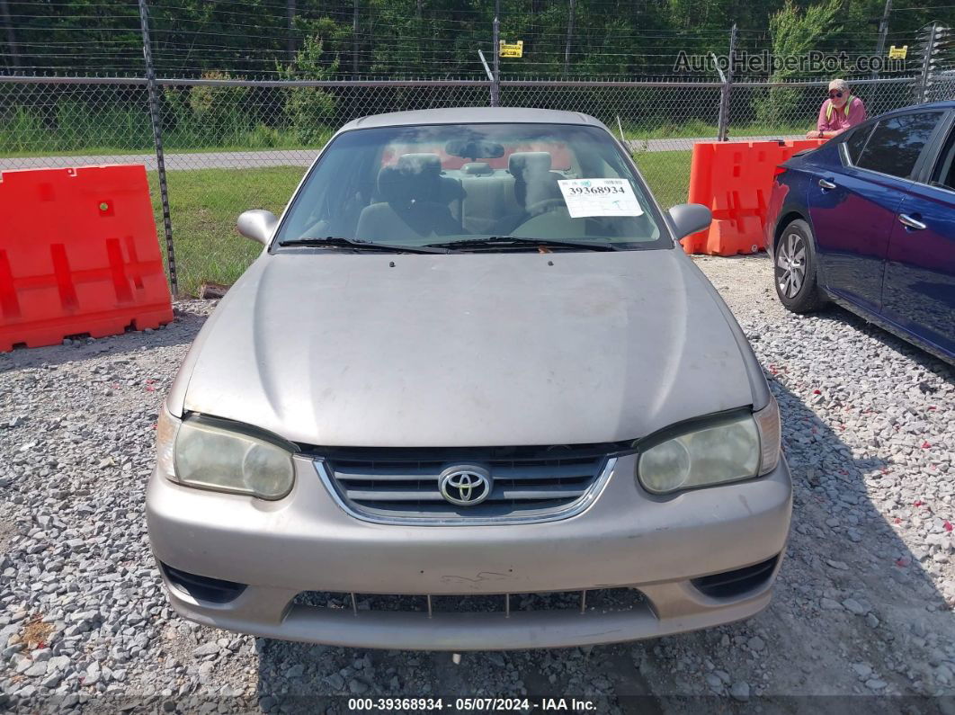 2002 Toyota Corolla Le Tan vin: 1NXBR12E42Z644475