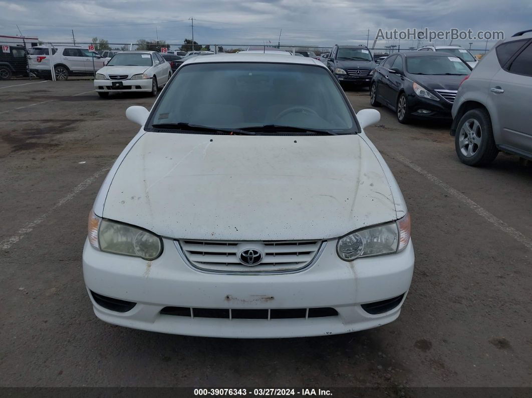 2002 Toyota Corolla Le White vin: 1NXBR12E62Z650813