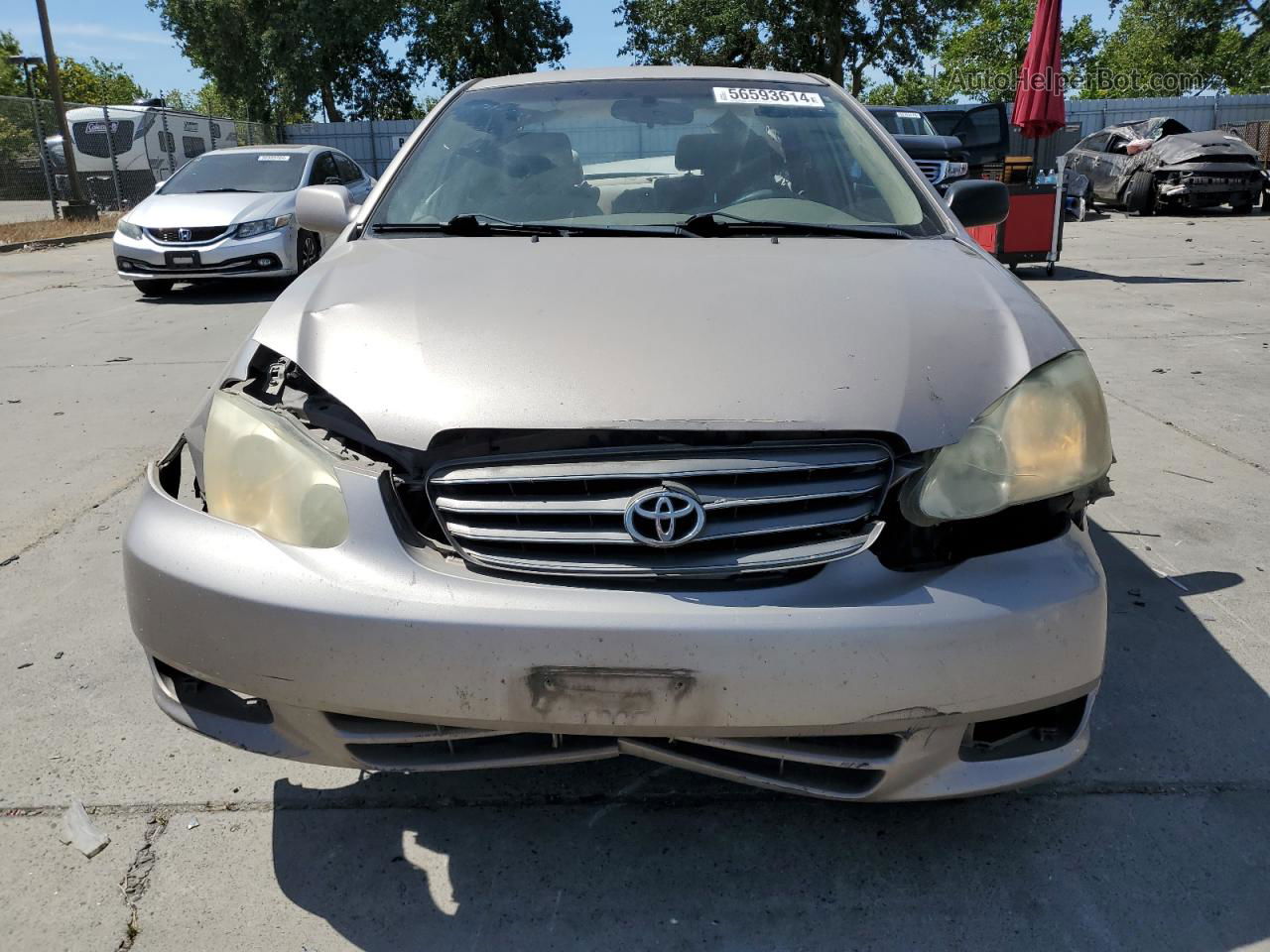 2003 Toyota Corolla Ce Beige vin: 1NXBR32E23Z089250