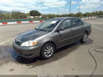 2008 Toyota Corolla Ce/s/le Gray vin: 1NXBR32E28Z024843