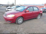 2004 Toyota Corolla Le Красный vin: 1NXBR32E34Z311232