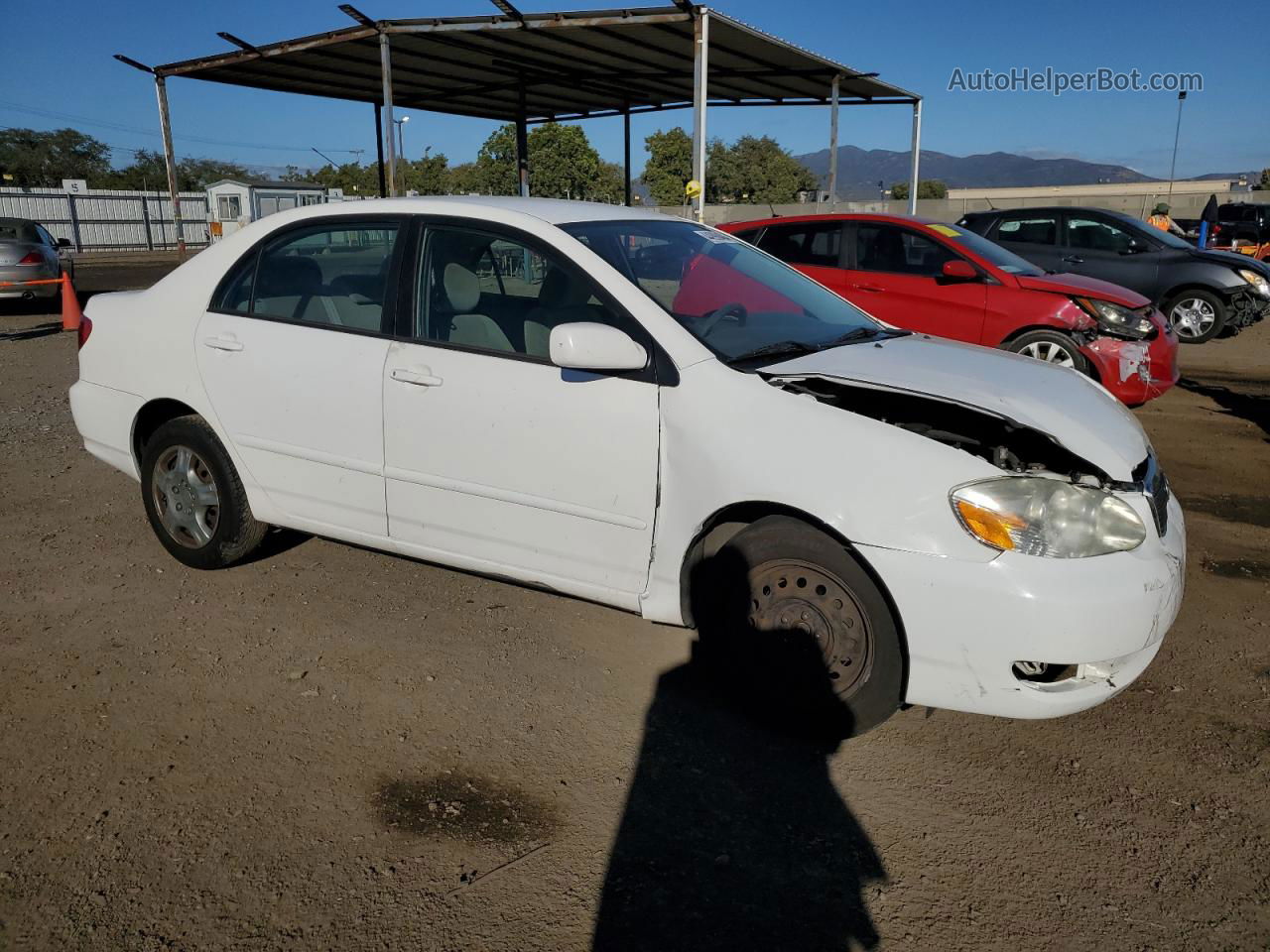 2008 Toyota Corolla Ce Белый vin: 1NXBR32E38Z990487