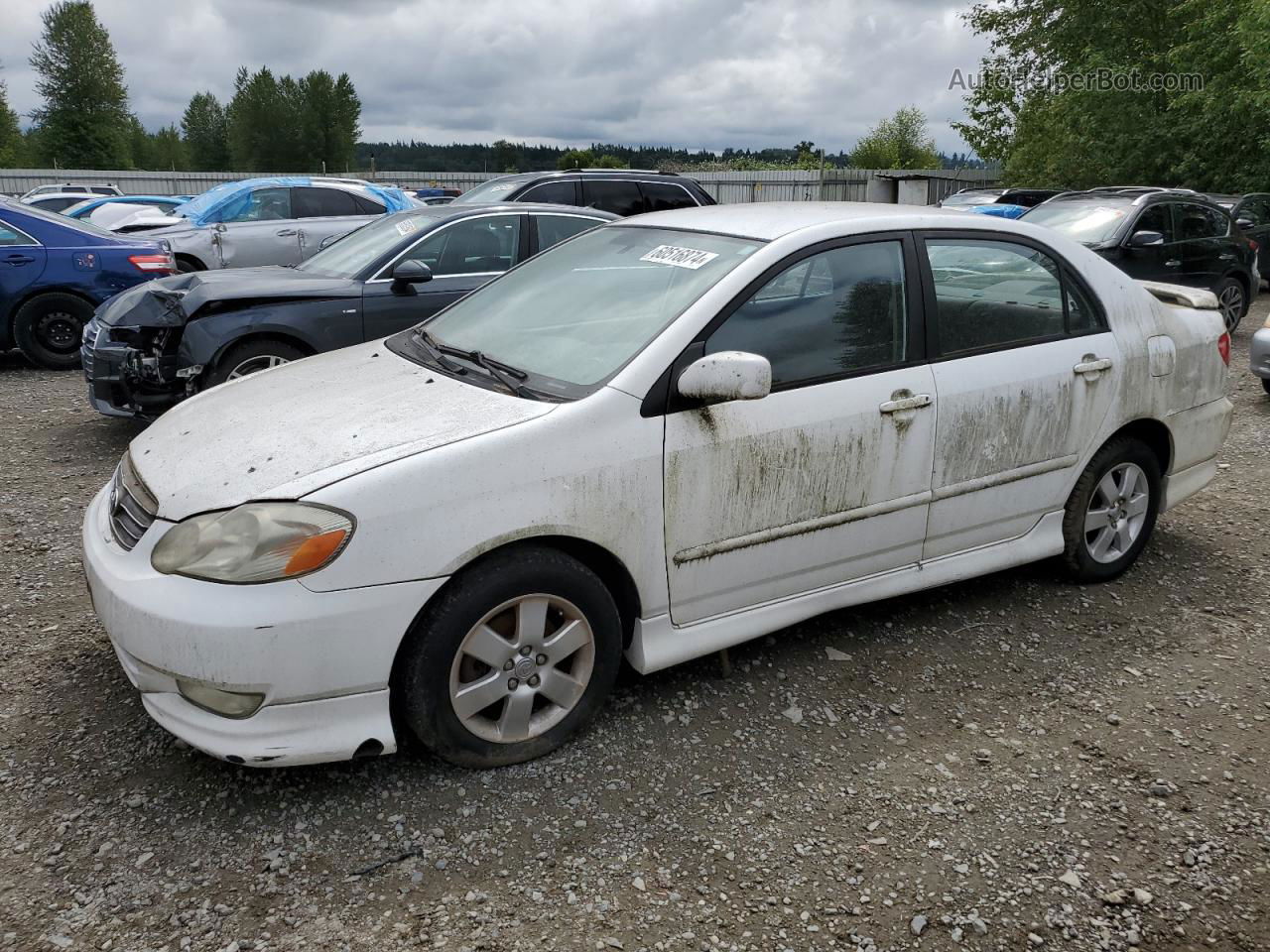 2004 Toyota Corolla Ce Белый vin: 1NXBR32E44Z216646