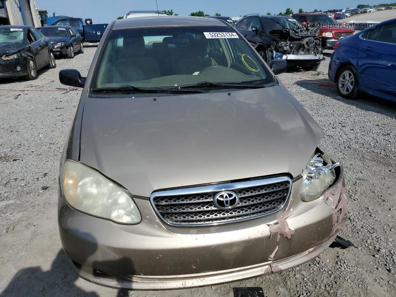 2005 Toyota Corolla Ce Tan vin: 1NXBR32E45Z497008