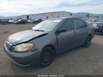 2005 Toyota Corolla Ce Gray vin: 1NXBR32E65Z476175