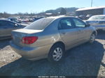 2005 Toyota Corolla Le Золотой vin: 1NXBR32E65Z567026