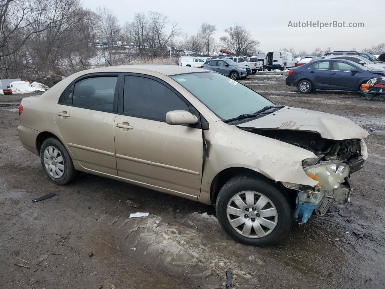 2004 Toyota Corolla Ce Золотой vin: 1NXBR32E74Z224224