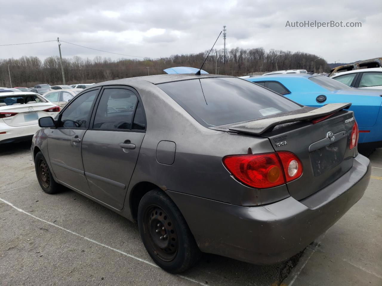 2004 Toyota Corolla Ce Gray vin: 1NXBR32E84Z192125