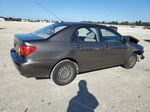 2004 Toyota Corolla Ce Серый vin: 1NXBR32E84Z262450