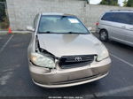 2008 Toyota Corolla Le Beige vin: 1NXBR32E88Z970333