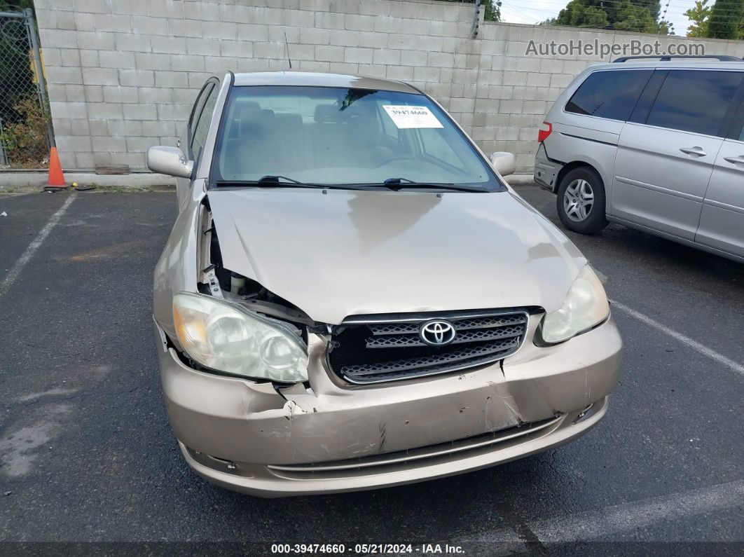 2008 Toyota Corolla Le Бежевый vin: 1NXBR32E88Z970333