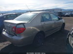 2004 Toyota Corolla Ce/s/le Gold vin: 1NXBR32E94Z338113