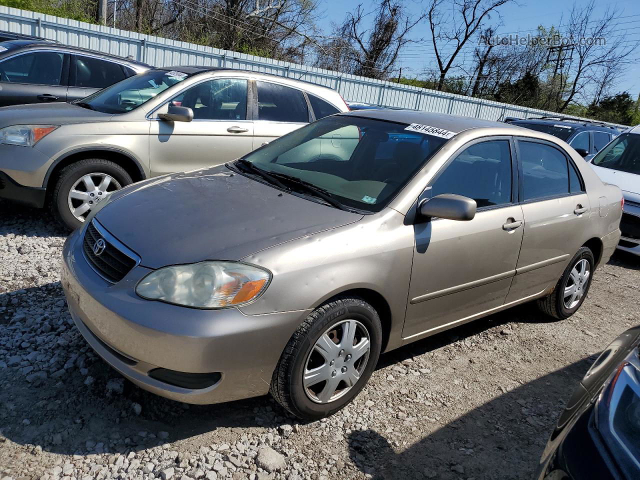 2008 Toyota Corolla Ce Желто-коричневый vin: 1NXBR32EX8Z956434