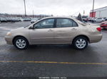 2004 Toyota Corolla Le Gold vin: 1NXBR38E34Z243117