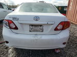 2010 Toyota Corolla Base Белый vin: 1NXBU4EE0AZ260686