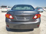 2010 Toyota Corolla Base Gray vin: 1NXBU4EE0AZ264043