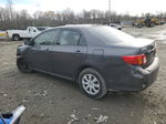 2010 Toyota Corolla Base Угольный vin: 1NXBU4EE0AZ313158