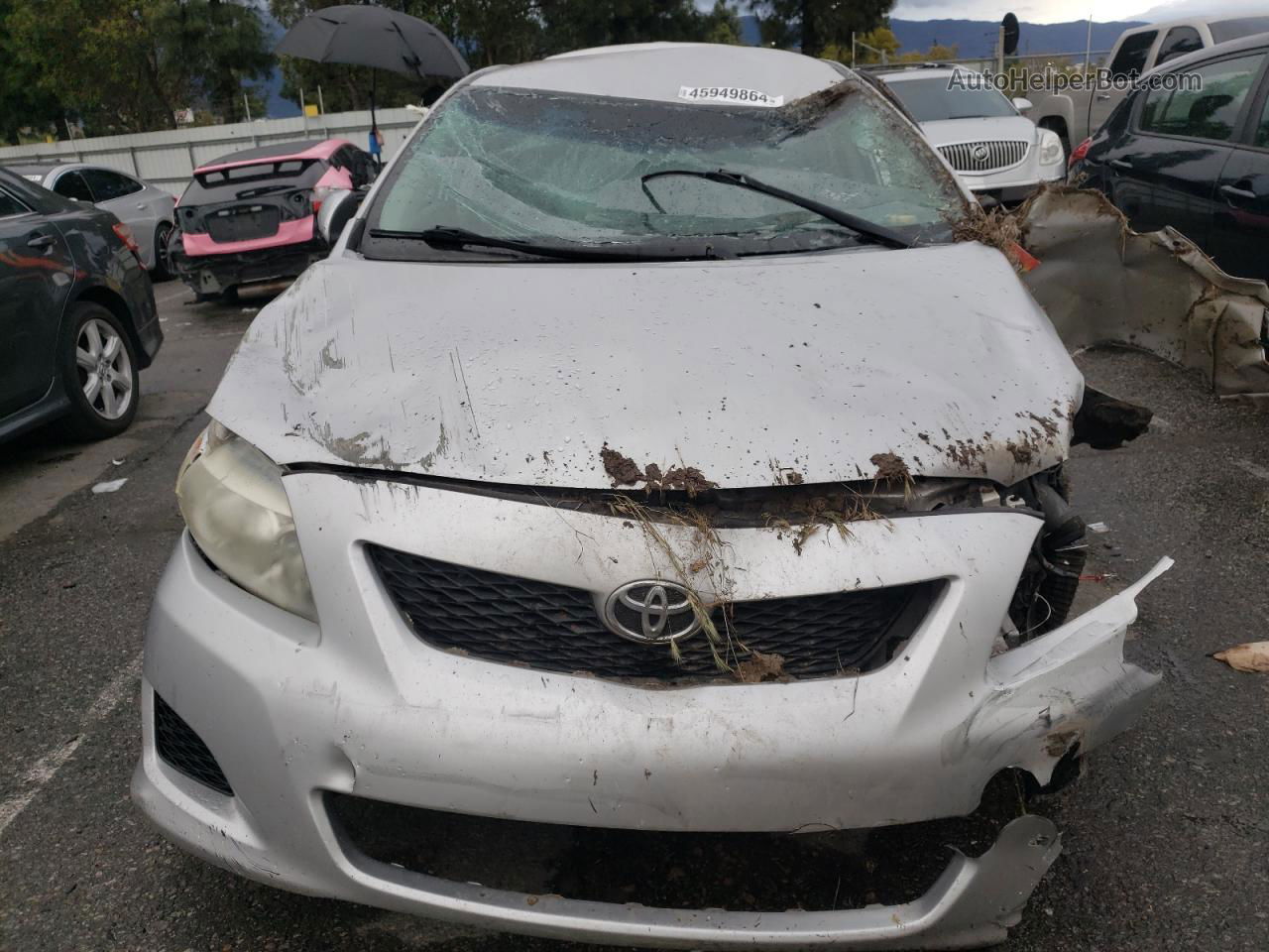 2010 Toyota Corolla Base Silver vin: 1NXBU4EE0AZ328954