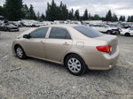 2010 Toyota Corolla Base Gold vin: 1NXBU4EE1AZ170723