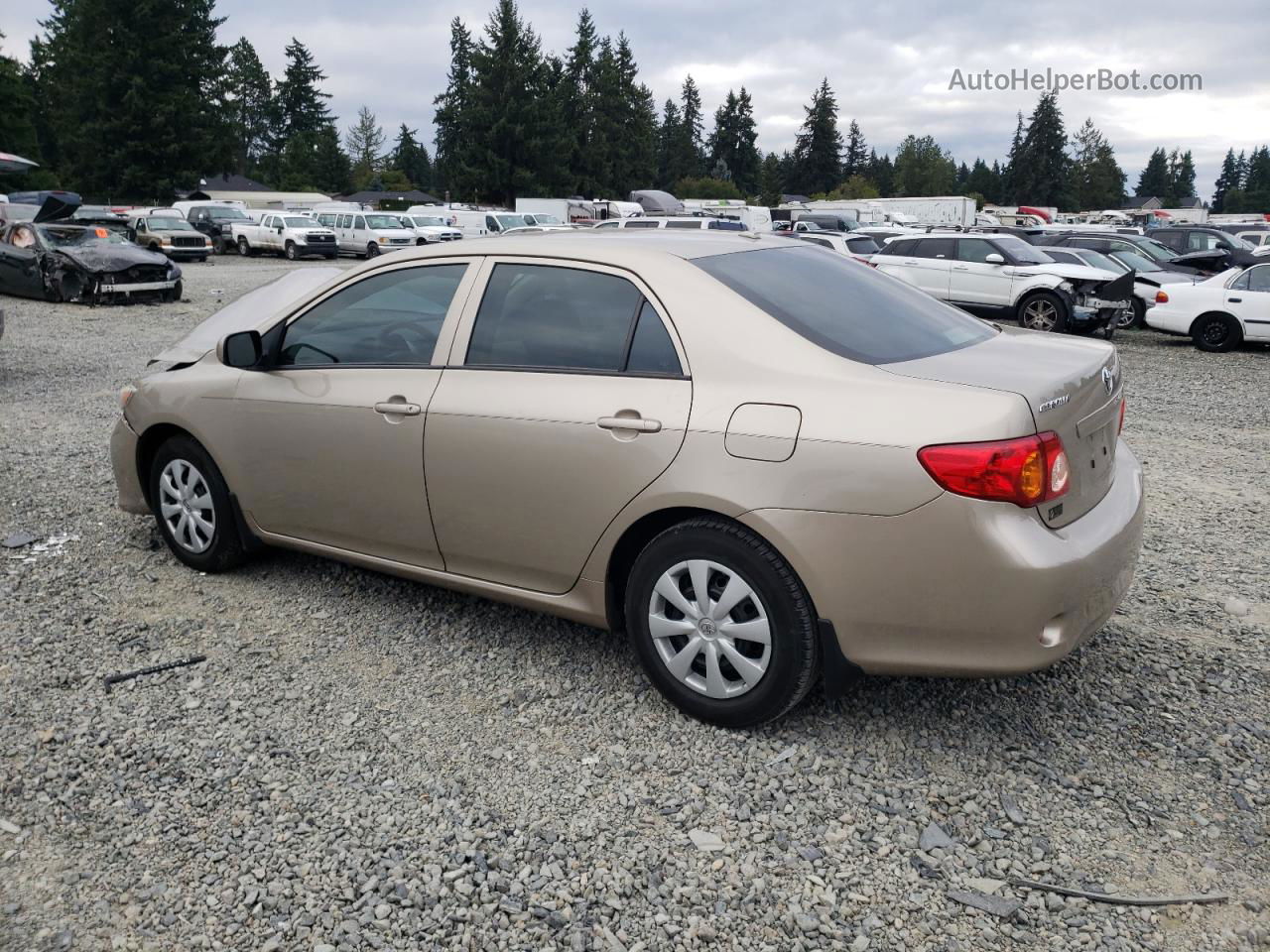 2010 Toyota Corolla Base Золотой vin: 1NXBU4EE1AZ170723