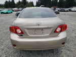 2010 Toyota Corolla Base Gold vin: 1NXBU4EE1AZ170723