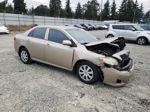 2010 Toyota Corolla Base Золотой vin: 1NXBU4EE1AZ170723