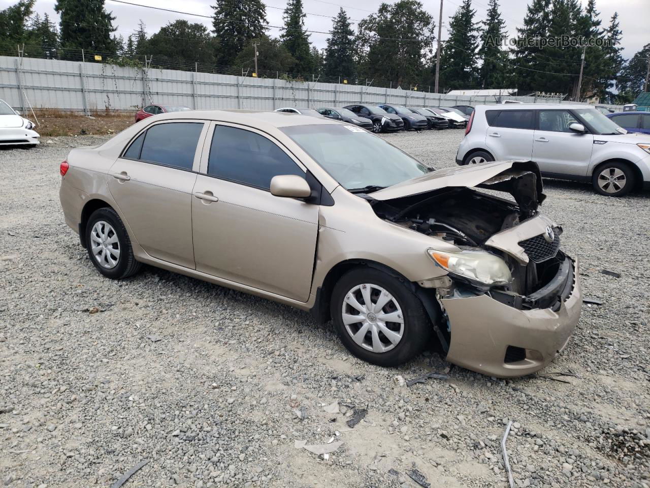 2010 Toyota Corolla Base Gold vin: 1NXBU4EE1AZ170723