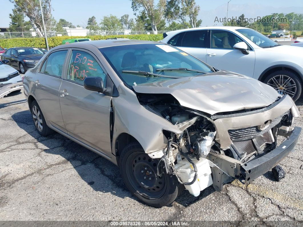 2010 Toyota Corolla   Gold vin: 1NXBU4EE1AZ181849