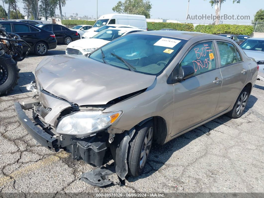 2010 Toyota Corolla   Gold vin: 1NXBU4EE1AZ181849