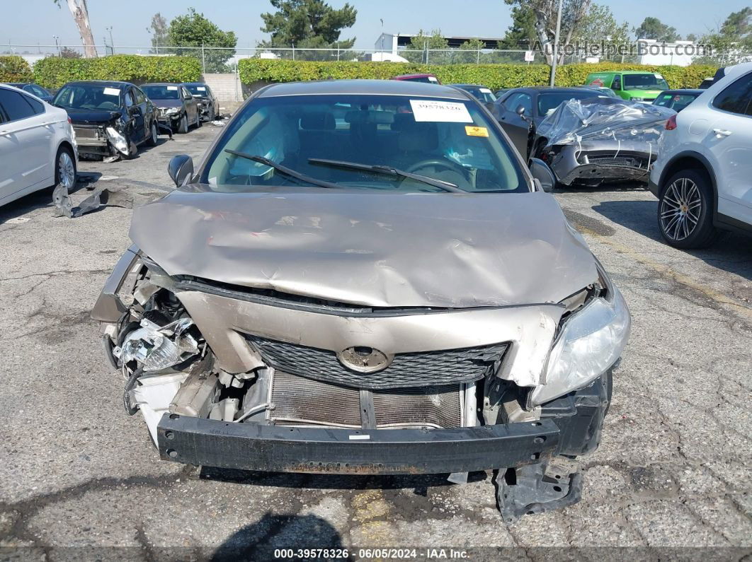 2010 Toyota Corolla   Gold vin: 1NXBU4EE1AZ181849