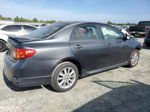 2010 Toyota Corolla Base Gray vin: 1NXBU4EE1AZ197355