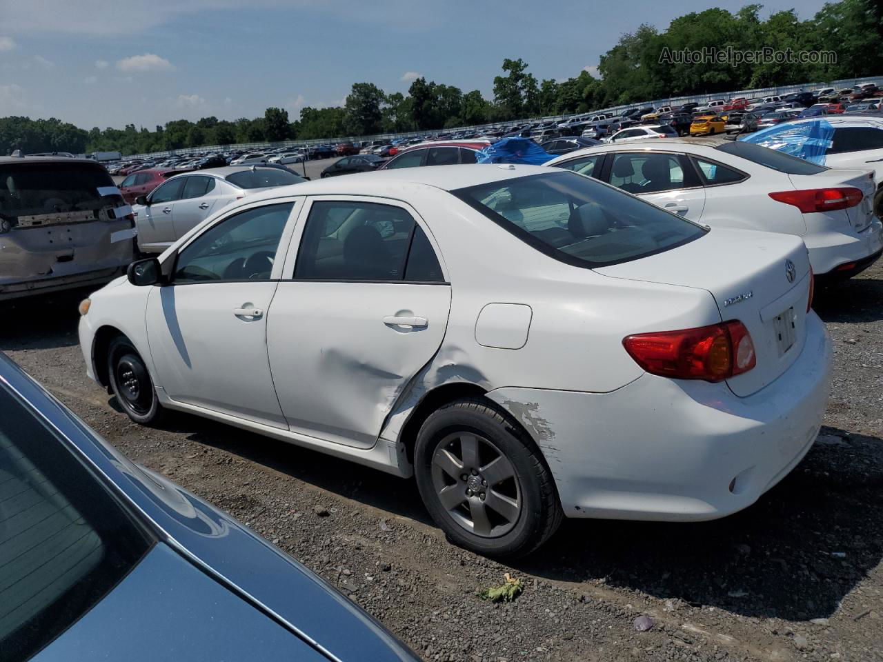 2010 Toyota Corolla Base Белый vin: 1NXBU4EE1AZ300855