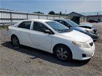 2010 Toyota Corolla Base White vin: 1NXBU4EE1AZ300855