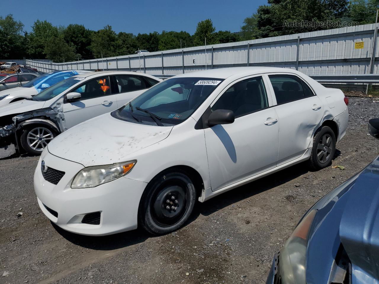 2010 Toyota Corolla Base White vin: 1NXBU4EE1AZ300855