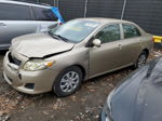 2010 Toyota Corolla Base Gold vin: 1NXBU4EE1AZ336738