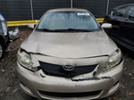 2010 Toyota Corolla Base Золотой vin: 1NXBU4EE1AZ336738