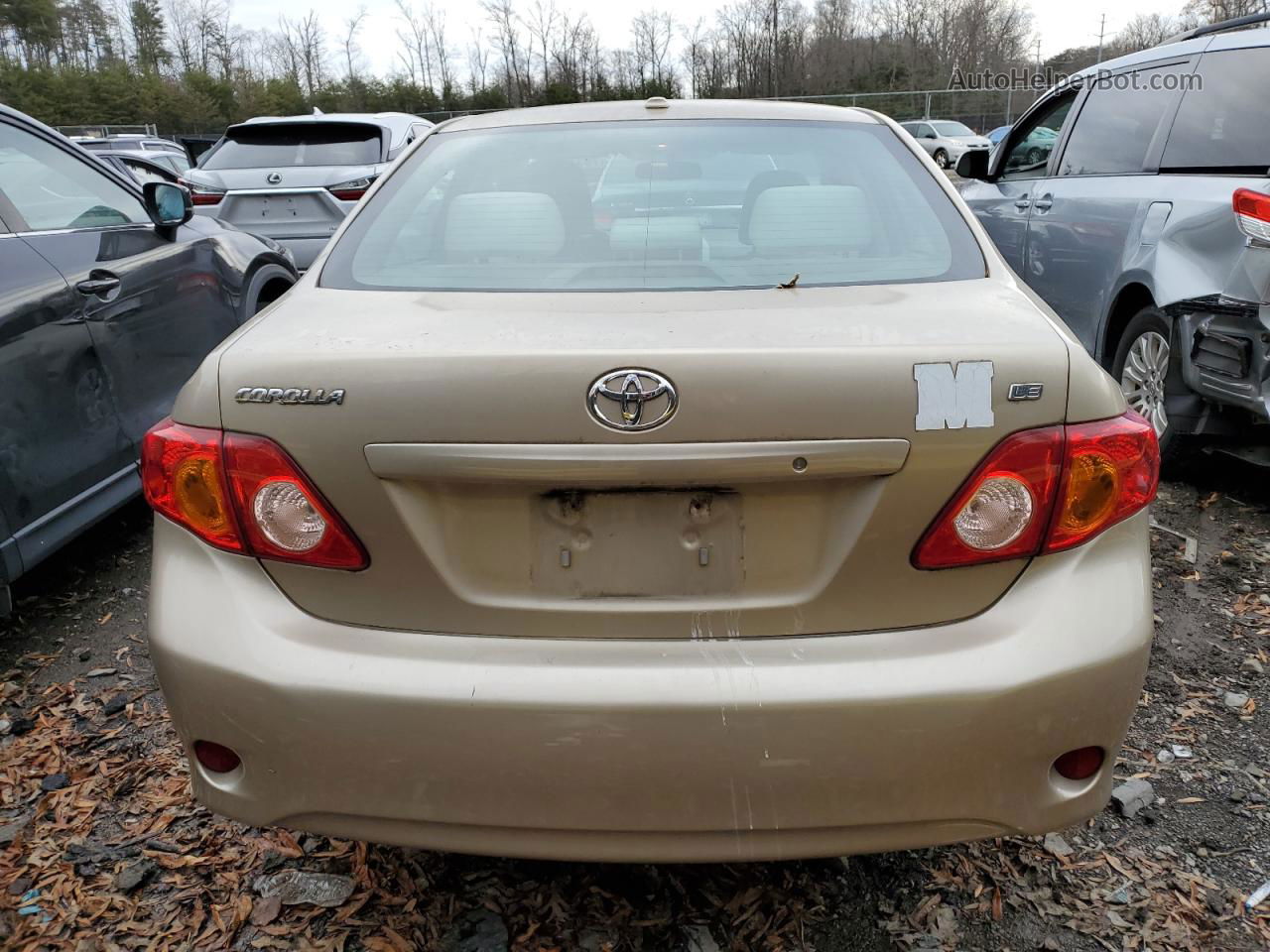 2010 Toyota Corolla Base Gold vin: 1NXBU4EE1AZ336738