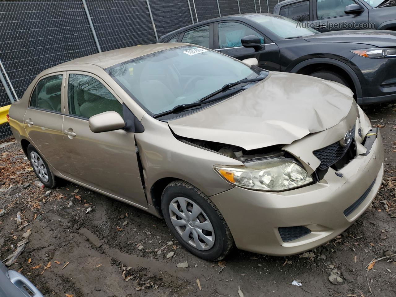 2010 Toyota Corolla Base Золотой vin: 1NXBU4EE1AZ336738