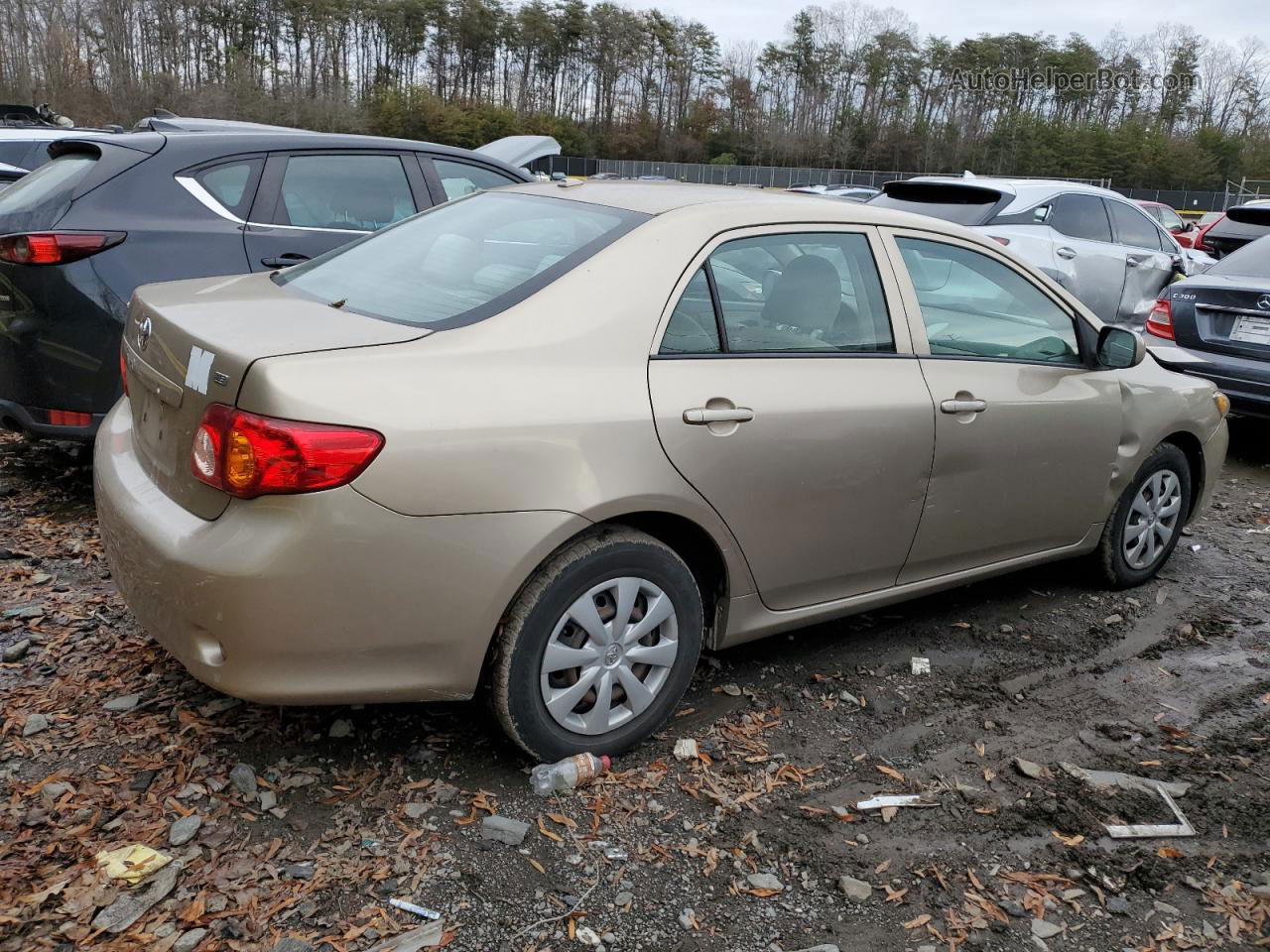 2010 Toyota Corolla Base Золотой vin: 1NXBU4EE1AZ336738