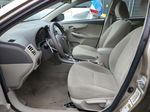 2010 Toyota Corolla Base Золотой vin: 1NXBU4EE1AZ336738